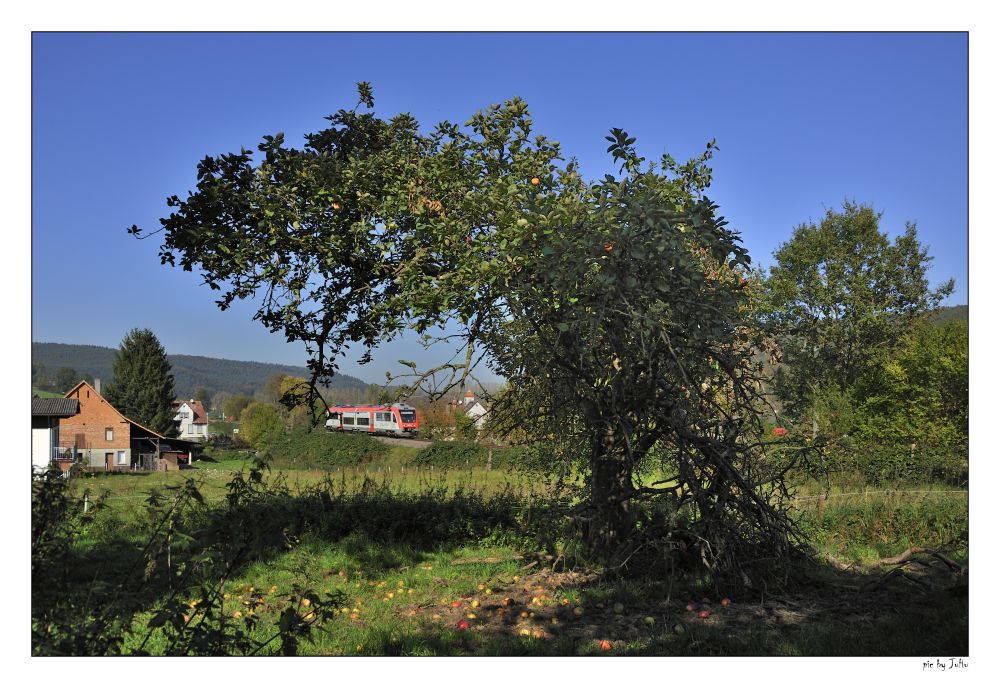 Spätsommer im Odenwald