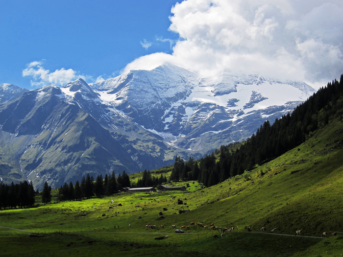 Spätsommer im Österr. Nationalpark Hohe Tauern