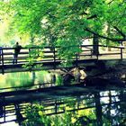 Spätsommer im Park