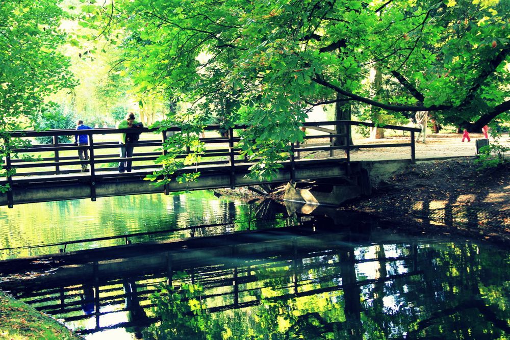 Spätsommer im Park