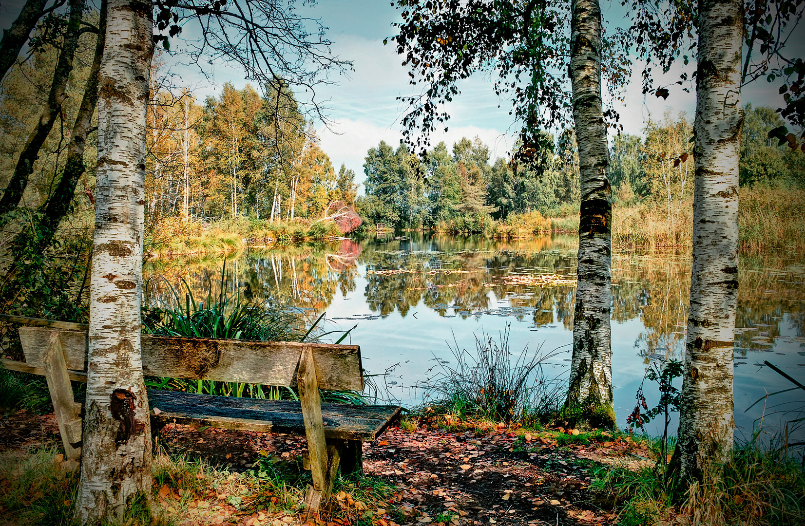 Spätsommer im Pfrungener Ried bei Wilhelmsdorf