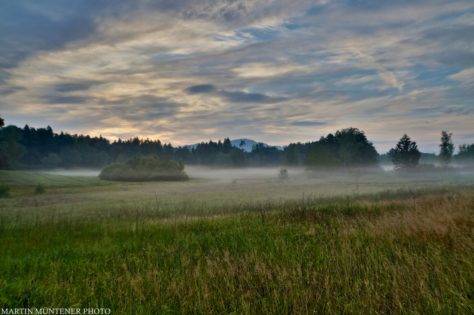 Spätsommer im Riet