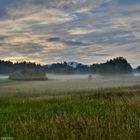 Spätsommer im Riet