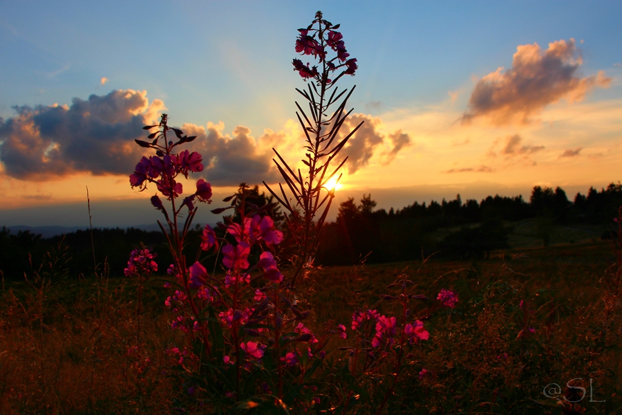 Spätsommer im Sauerland