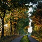 Spätsommer im Schaumburger Land