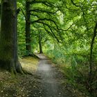 Spätsommer im Stadtwald