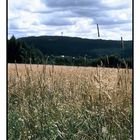 Spätsommer im Taunus