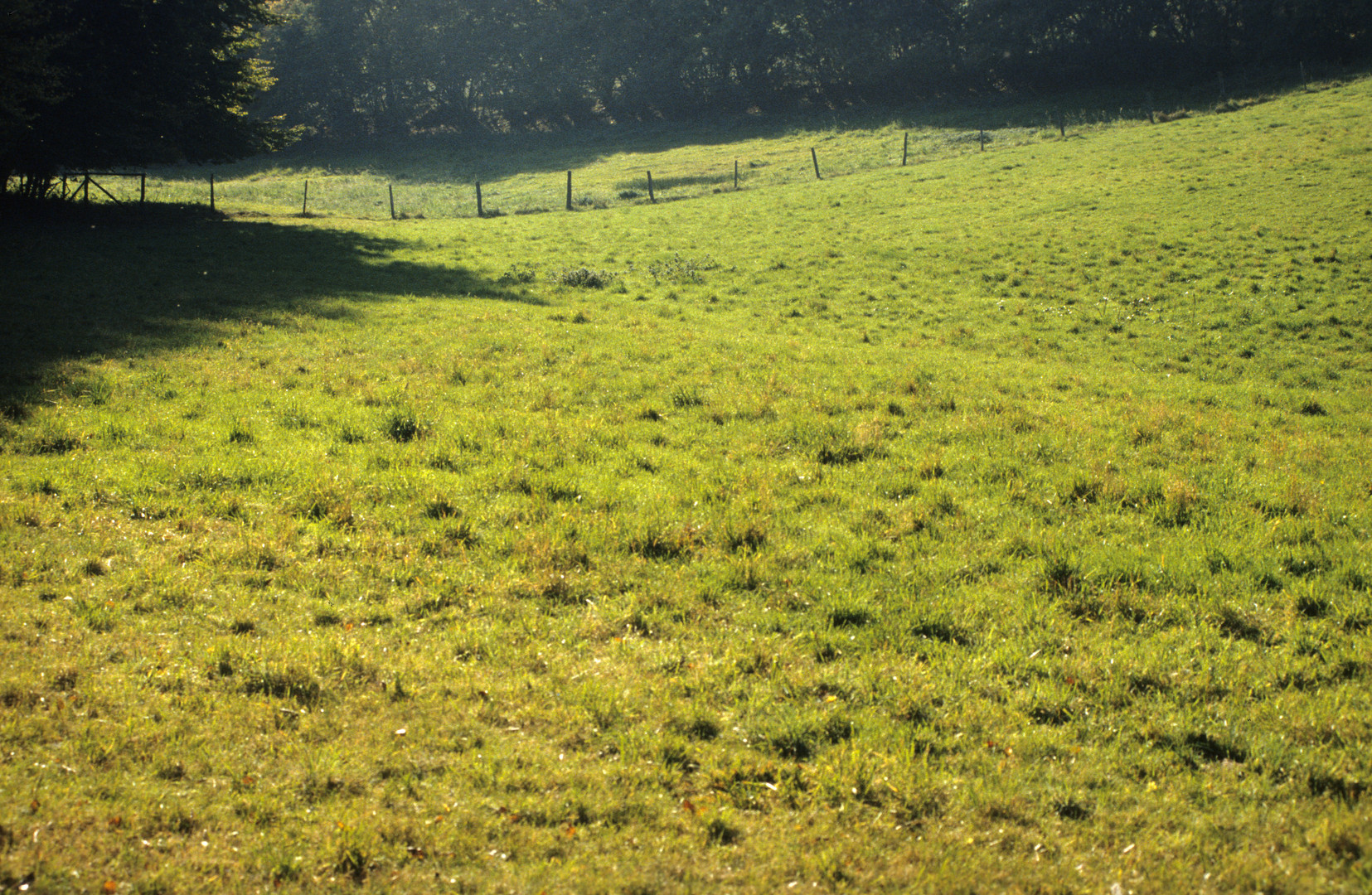 Spätsommer im Taunus