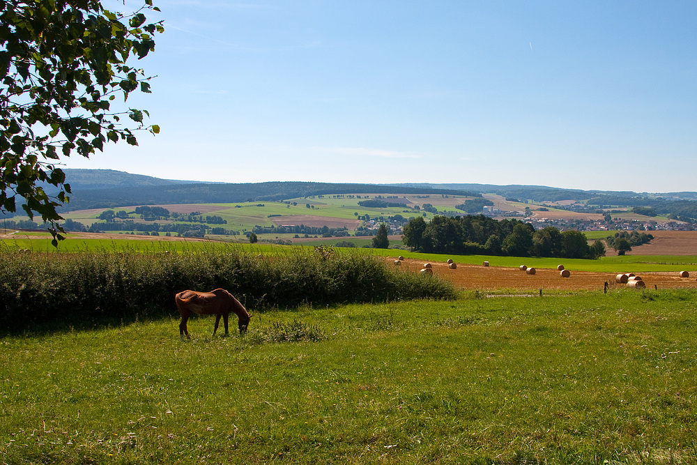 Spätsommer im Vogelsberg