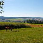 Spätsommer im Vogelsberg