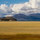 Spätsommer im Yukon