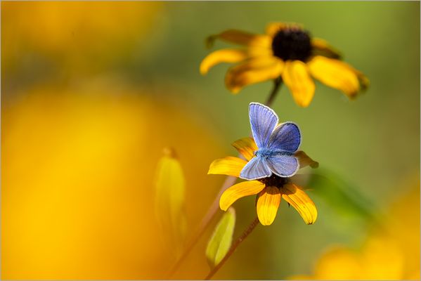 Spätsommer-Impression
