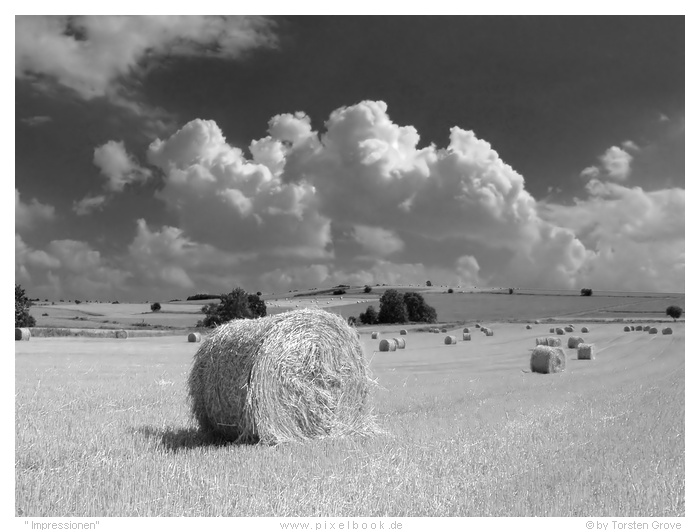 "Spätsommer Impression"