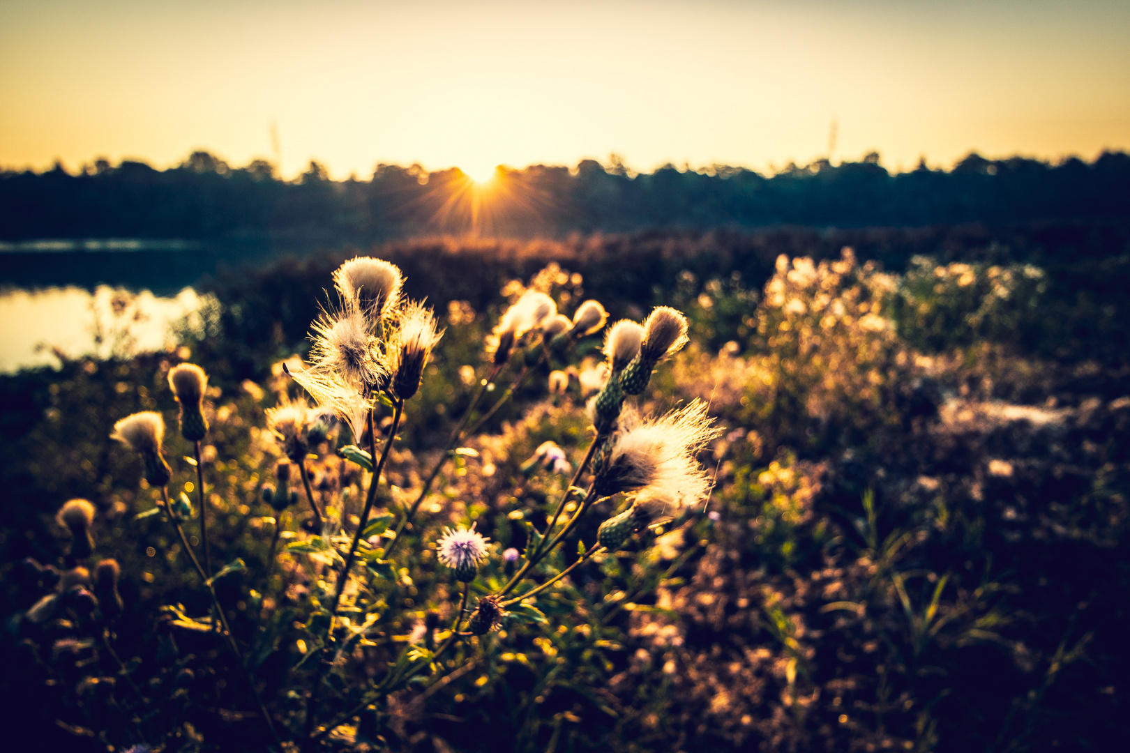 Spätsommer-Impression