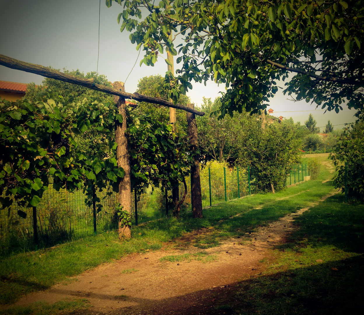 SPÄTSOMMER IMPRESSIONEN 