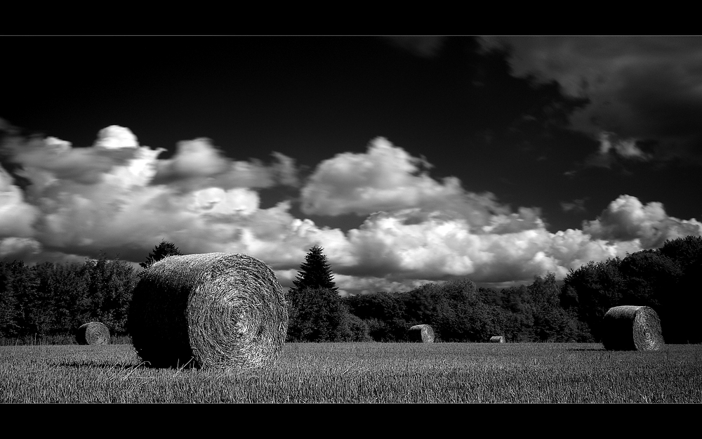 Spätsommer-Impressionen No. II