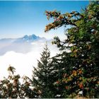 Spätsommer in den Alpen