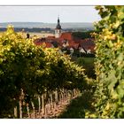 Spätsommer in den Wiesenbronner Weinbergen