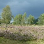 Spätsommer in der Heide