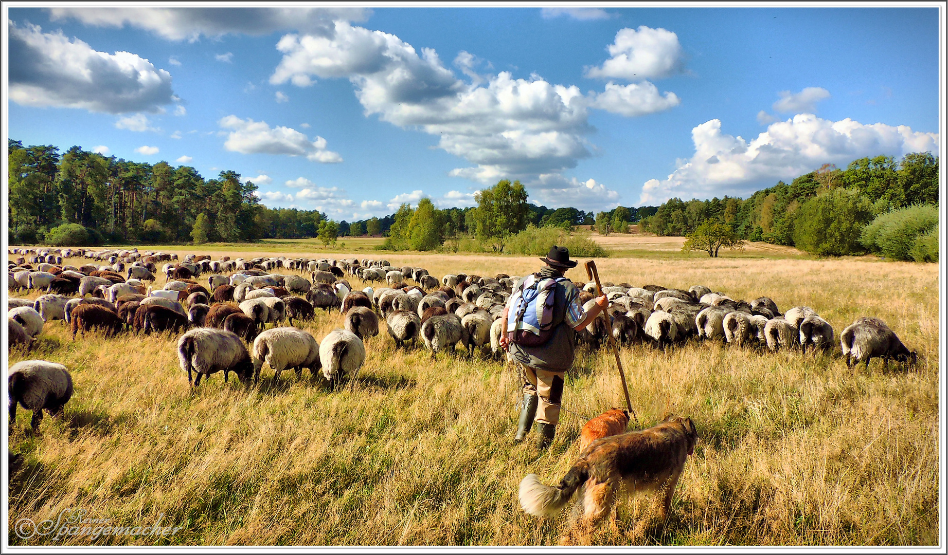 Spätsommer in der Lüneburger Heide