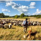 Spätsommer in der Lüneburger Heide