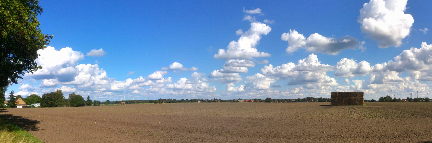 Spätsommer in der Niederlausitz / Brandenburg