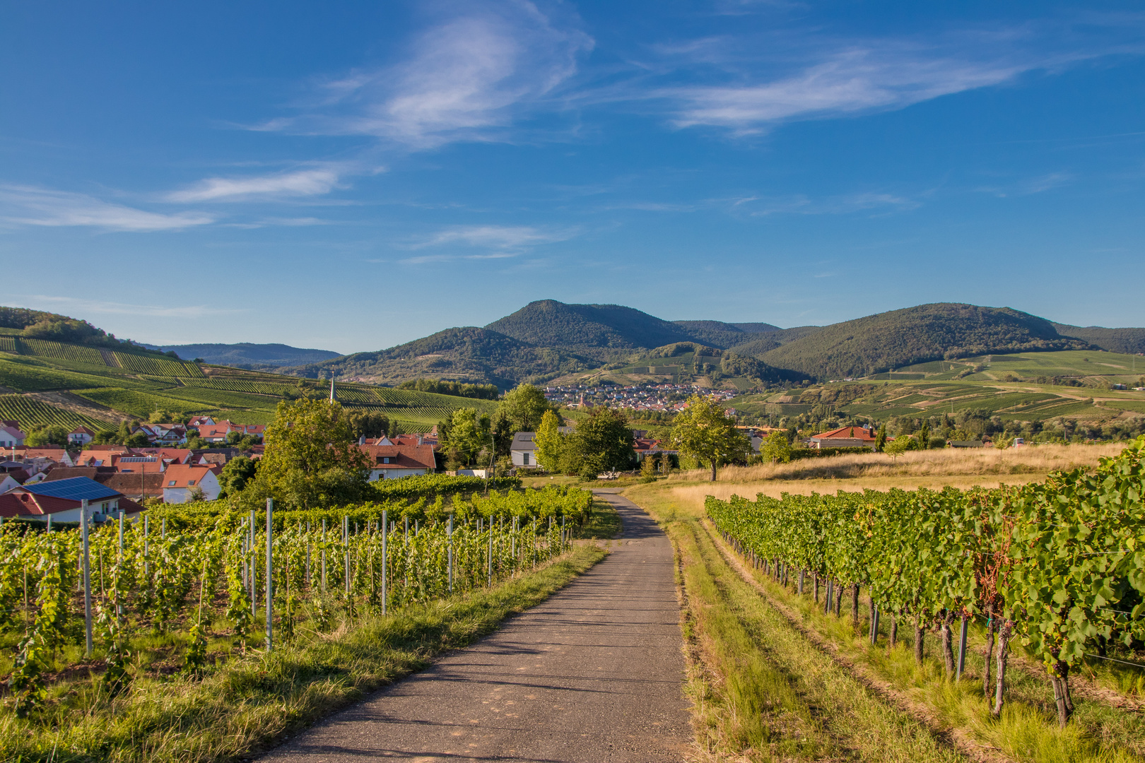 Spätsommer in der Südpfalz