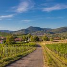 Spätsommer in der Südpfalz