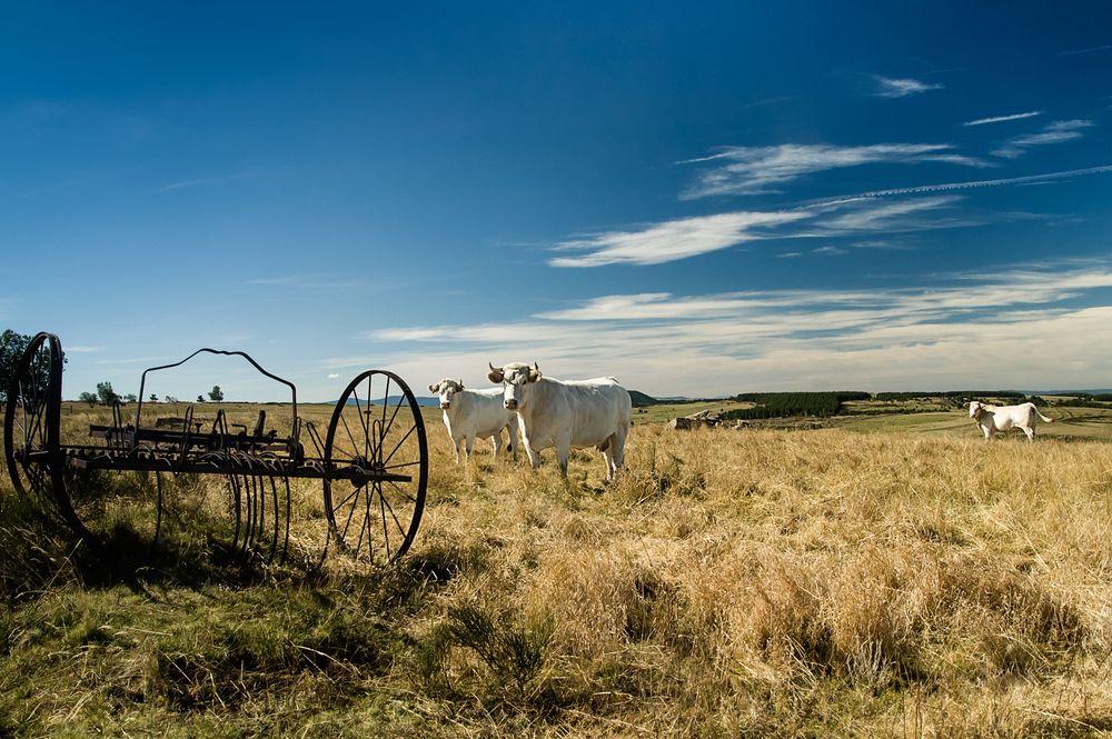 Spätsommer in Frankreich