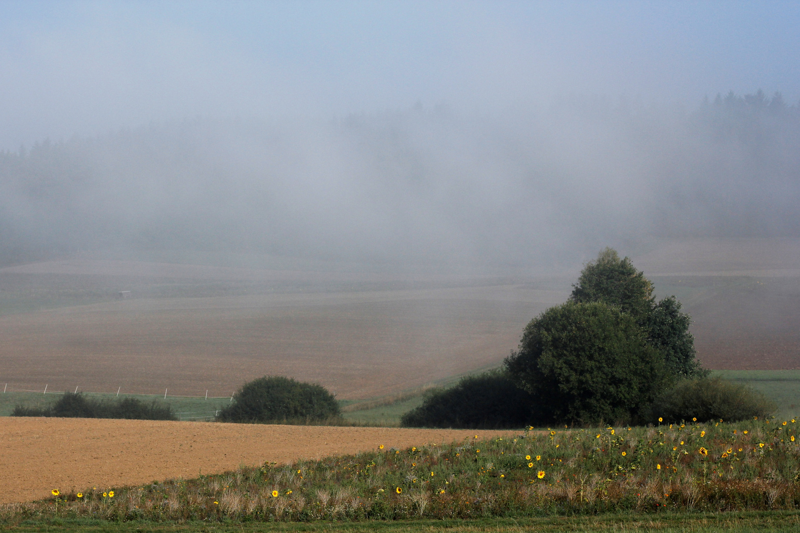 Spätsommer in Hessen