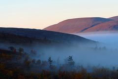 Spätsommer in Lappland (2)