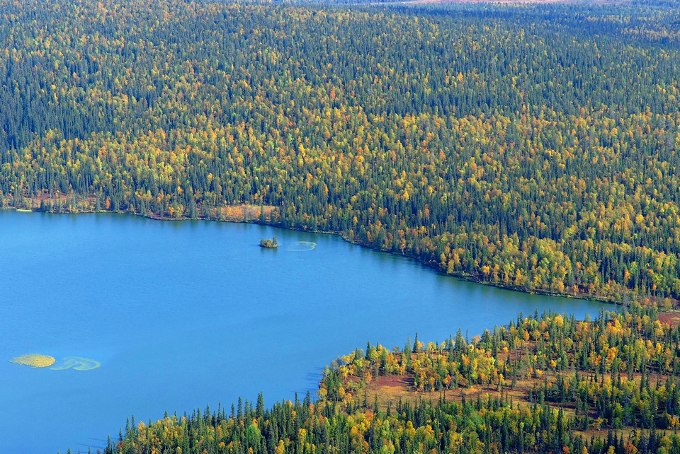 Spätsommer in Lappland (3)