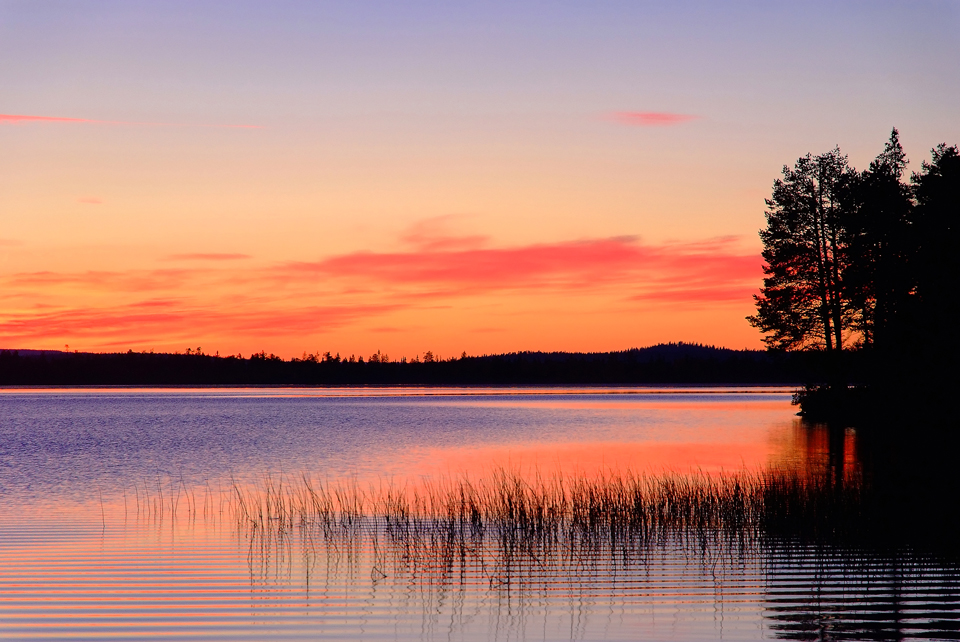 Spätsommer in Lappland (4)