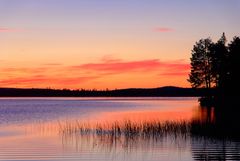 Spätsommer in Lappland (4)