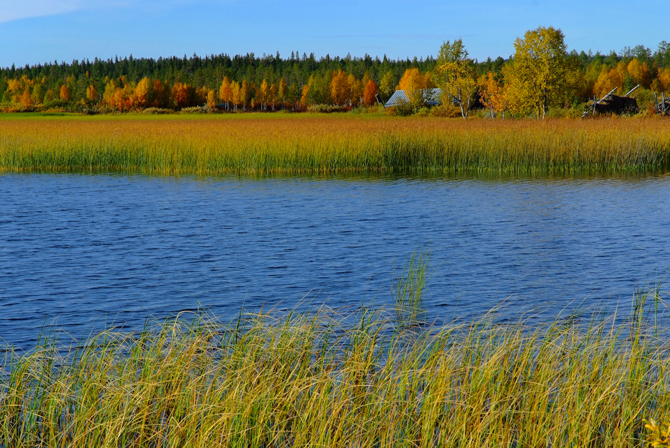 Spätsommer in Lappland (5)