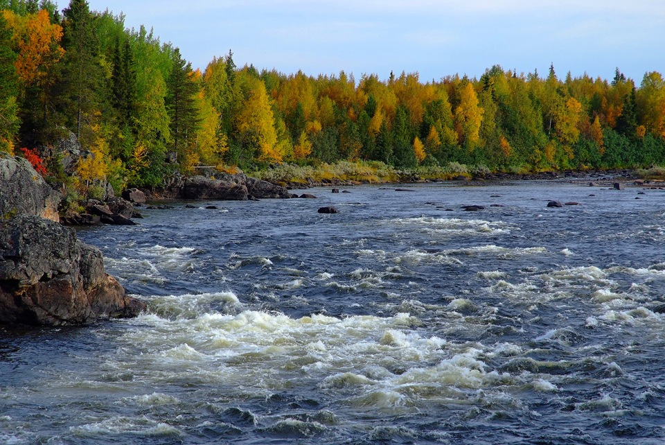 Spätsommer in Lappland (6)