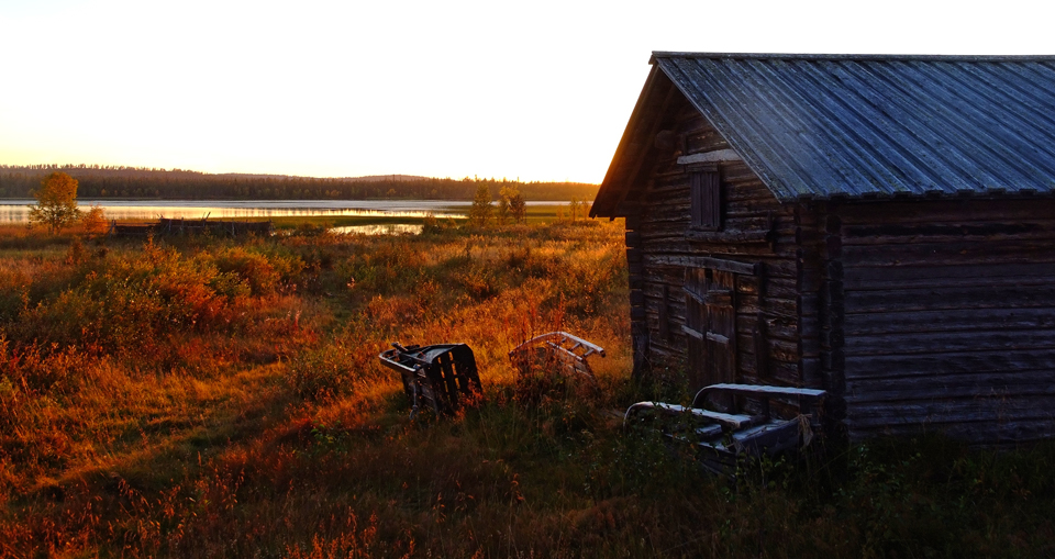 Spätsommer in Lappland (7)