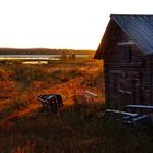 Spätsommer in Lappland (7)