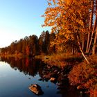 Spätsommer in Lappland (9)