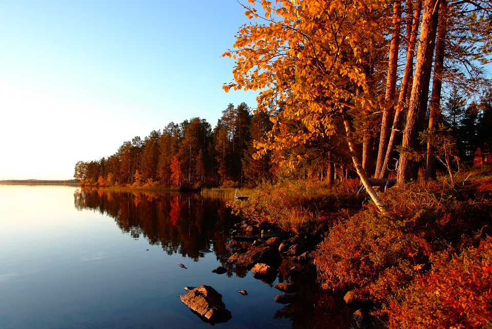 Spätsommer in Lappland (9)