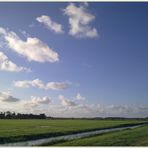 Spätsommer in Nordfriesland - I -