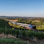 Spätsommer in Rheinhessen