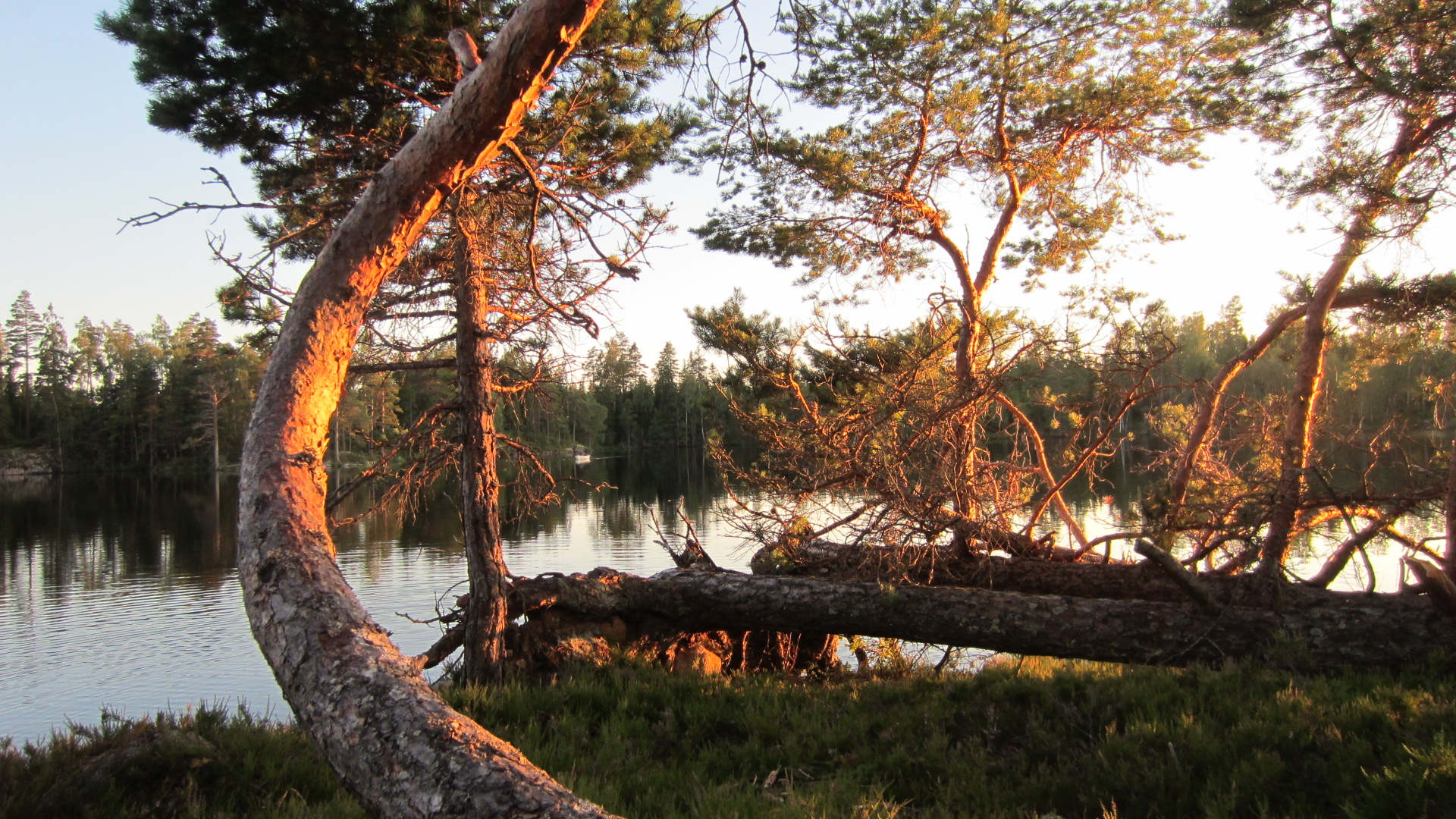 Spätsommer in Schweden