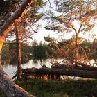 Spätsommer in Schweden