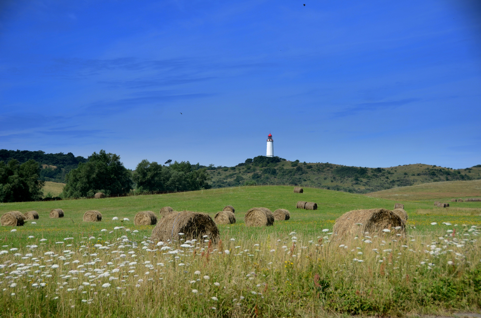 Spätsommer Insel Hiddensee