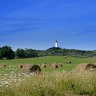 Spätsommer Insel Hiddensee