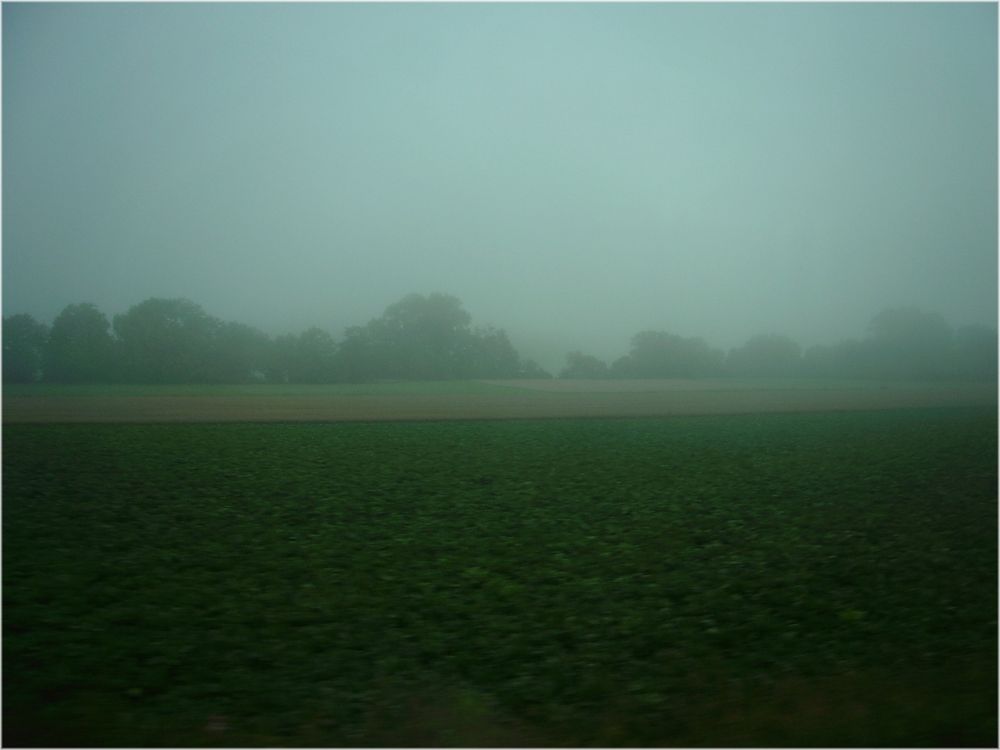 Spätsommer: Landschaft im Morgennebel