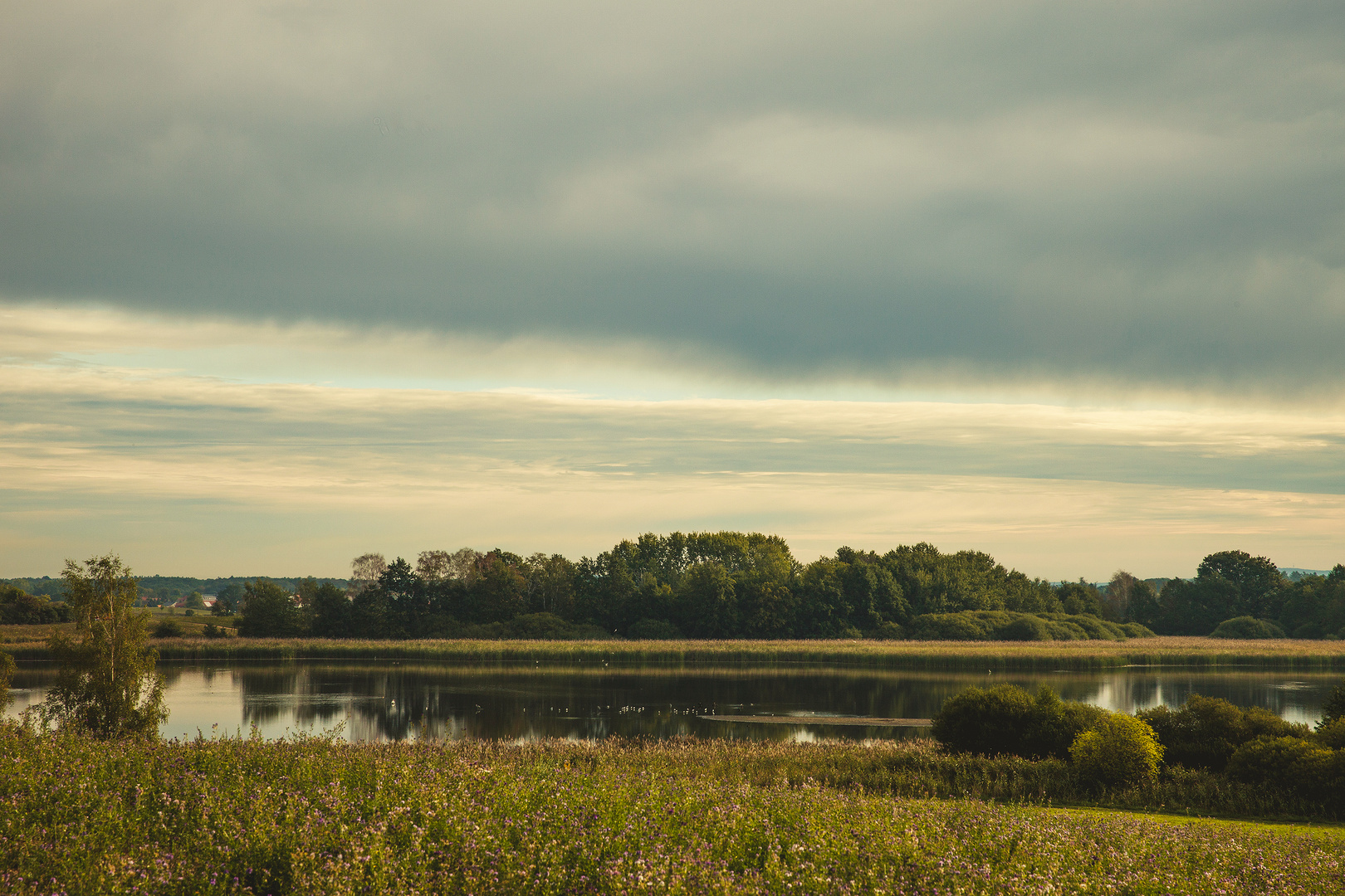 Spätsommer Licht am See