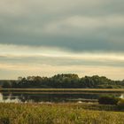 Spätsommer Licht am See