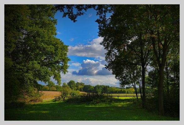Spätsommer Münsterland